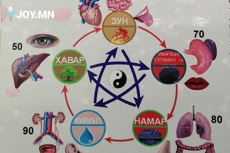 ХЯТАДЫН СУУТ ДОКТОР СУНЬ СЫМЯОГИЙН ЗӨВЛӨГӨӨ